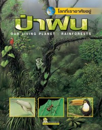 โลกที่เราอาศัยอยู่ ป่าฝน