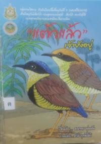 Image of แต้วแล้วเจ้ายังอยู่