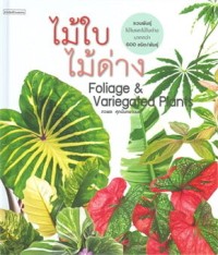 ไม้ใบไม้ด่าง Foliage&Variegated Plants
